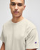 A light grey short sleeve t-shirt with a logo on the sleeve, designed for adults.