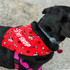 A large red pet bandana featuring a playful pattern of paws, bones, and toys, with a visible logo.