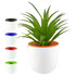 A white mini desk plant pot with a vibrant orange top, featuring a green plant. Includes additional pots in black, blue, and green.