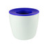 A mini desk plant pot in white with a blue rim, featuring a branding logo. Perfect for home or office decor.