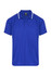 A blue polo shirt with white accents and a logo. Short-sleeved design.