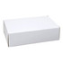 A plain white box with a rectangular shape and no visible markings or branding.