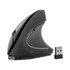 An ergonomic wireless mouse in black with a USB receiver beside it. The design features a curved shape for comfort.