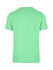 A mint green unisex t-shirt with short sleeves, featuring a plain back and a logo.