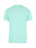 A mint green unisex t-shirt with a simple design and short sleeves. It has a logo on the back.