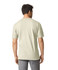 A white Gildan Softstyle adult T-shirt viewed from the back, featuring a simple design and fitted style.