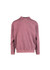 A unisex stone wash sweatshirt in a muted burgundy colour, featuring a simple design and a logo on the back.