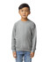 A youth sweatshirt in grey featuring ribbed cuffs and neckline. Includes a branding logo on the front.