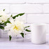 A white ceramic mug with a handle next to white peony flowers against a light brick background.