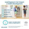 High capacity water filter for Elkay EZH2O units