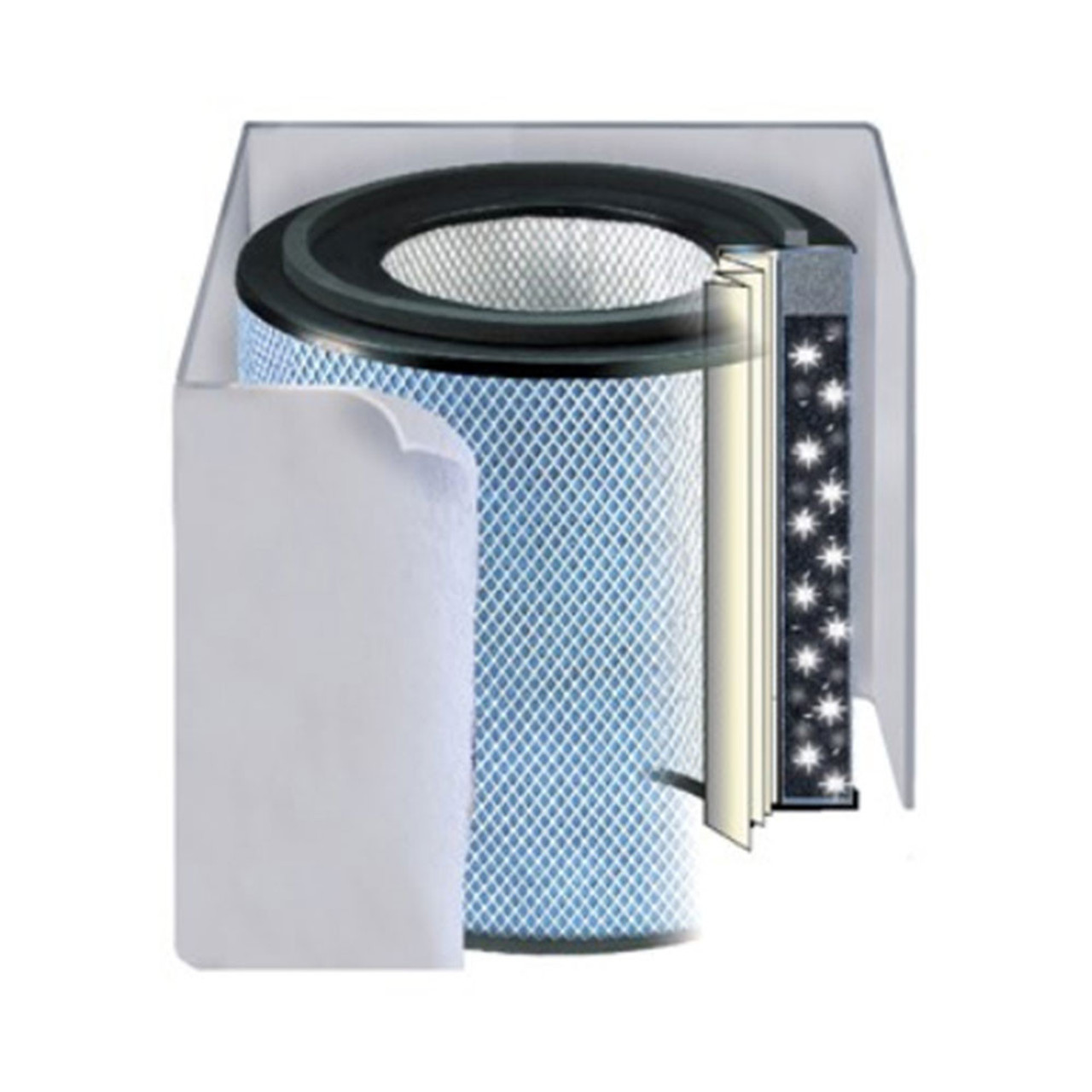 Austin air filter replacement discount