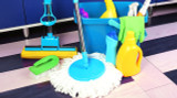 Different Types of Mops Explained: Which is Best?