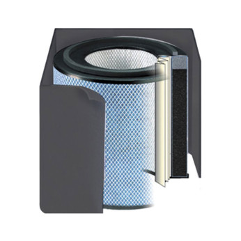 Austin Air HealthMate Filter, Standard