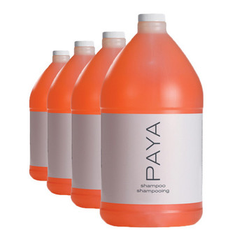 Bulk of 4 PAYA Shampoo hair cleanse with organic papaya and lavender