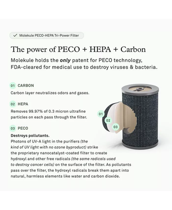 Air filter replacement for Molekule Pro Tri-Power – high-performance filtration for allergens and pollutants