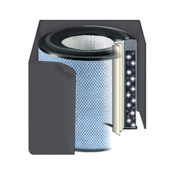 Austin Air HealthMate Plus Filter, Standard