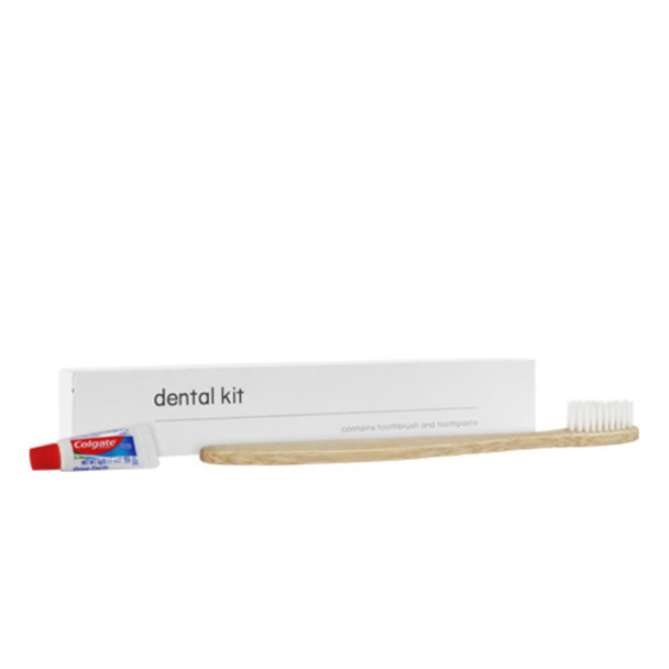 Bamboo toothbrush dental kit
