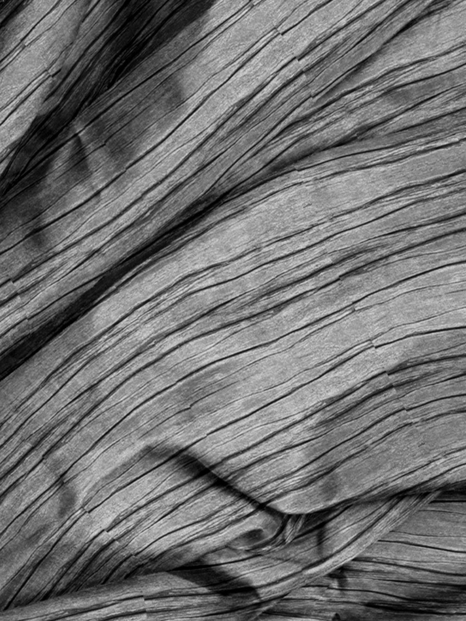 Shikma Fabric perfect for drapery .