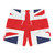 British Flag Swim Trunks