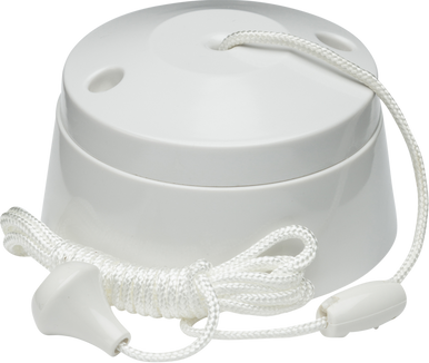 10AX 2-way Pull Cord switch - PAINT SHOP PLUS