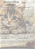 Cat Themed Grateful Daily Planner Notepad.