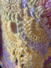 Tropical Blooms Hand Crochet Shawl