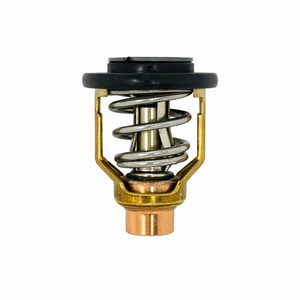 Suzuki DF70A-DF300 Thermostat (71°C) 17670-90J11