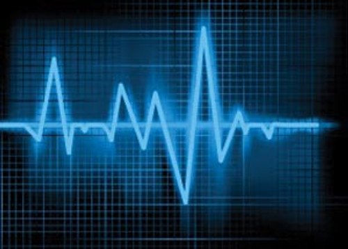 vectracor q200 holter recorder (10254772)