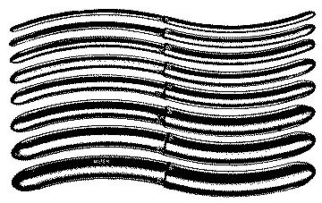 miltex hegar uterine dilators (10093858)