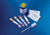 bd vacutainer® urine collection system (10173088)