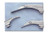 adc standard laryngoscope blades (10105410)
