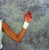 scott specialties elastic wrist wraps (10094216)