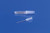 cardinal health monoject hypodermic needles with polypro hub (10176943)