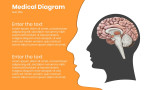 Medical Diagram - 2 text inserts