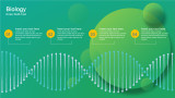 Biology - DNA - 4 Steps