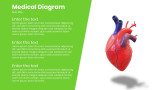 Medical Diagram - Heart 3D - Rotate for 360 view - 3 Steps