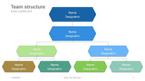 Team Structure Hexagon Reporting structure Top to Bottom