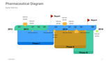 Pharmaceutical Diagram With Report