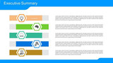 Executive Summary - 5 sections with icon in hexagon