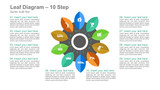 Leaf Diagram- 10 Steps in Circle