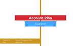 Account Plan Header 3 rectangles pasted on stick