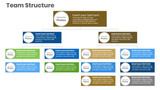 Team Structure with Image inside the box