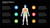 Medical Diagram - Human Body with Internal organs - 6 Steps