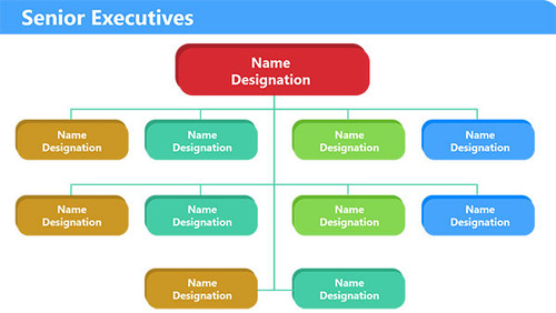 Senior Executives - reporting Rectangles with rounded corners