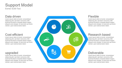 Support Model - Hexagon with Icons - 6 Steps