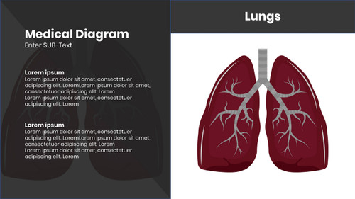 Medical Diagram - Lungs - 2 Steps