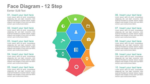 Face Diagram- 12 Steps - Face outline 2 Hexagon with icons