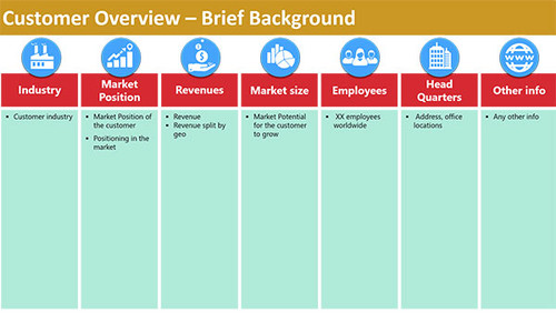 Account Customer Overview - Vertical sections