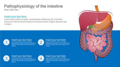 Pathophysiology of intestine 4 section