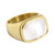 Bold Chunky White Shell Plus Size Ring - Gold on Stainless Steel Bold Chunky White Shell Plus Size Ring - Gold on Stainless Steel
